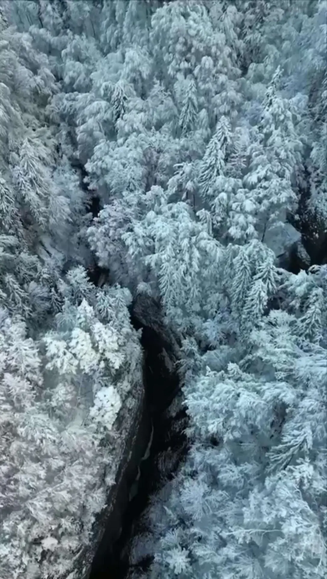 vlcsnap-2024-01-29-10h00m00s110 (1)