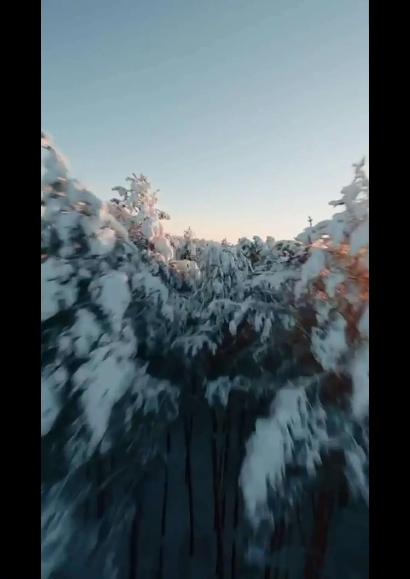 vlcsnap-2024-01-29-10h01m25s818 (1)